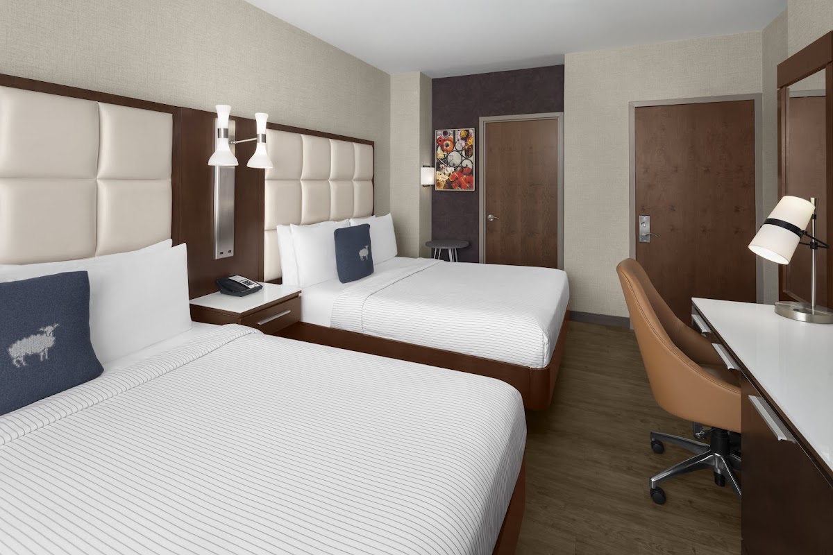 Cambria Hotel New York - Chelsea photo 2