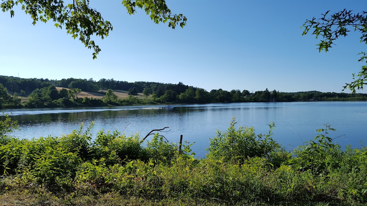 Jewel of the Lake