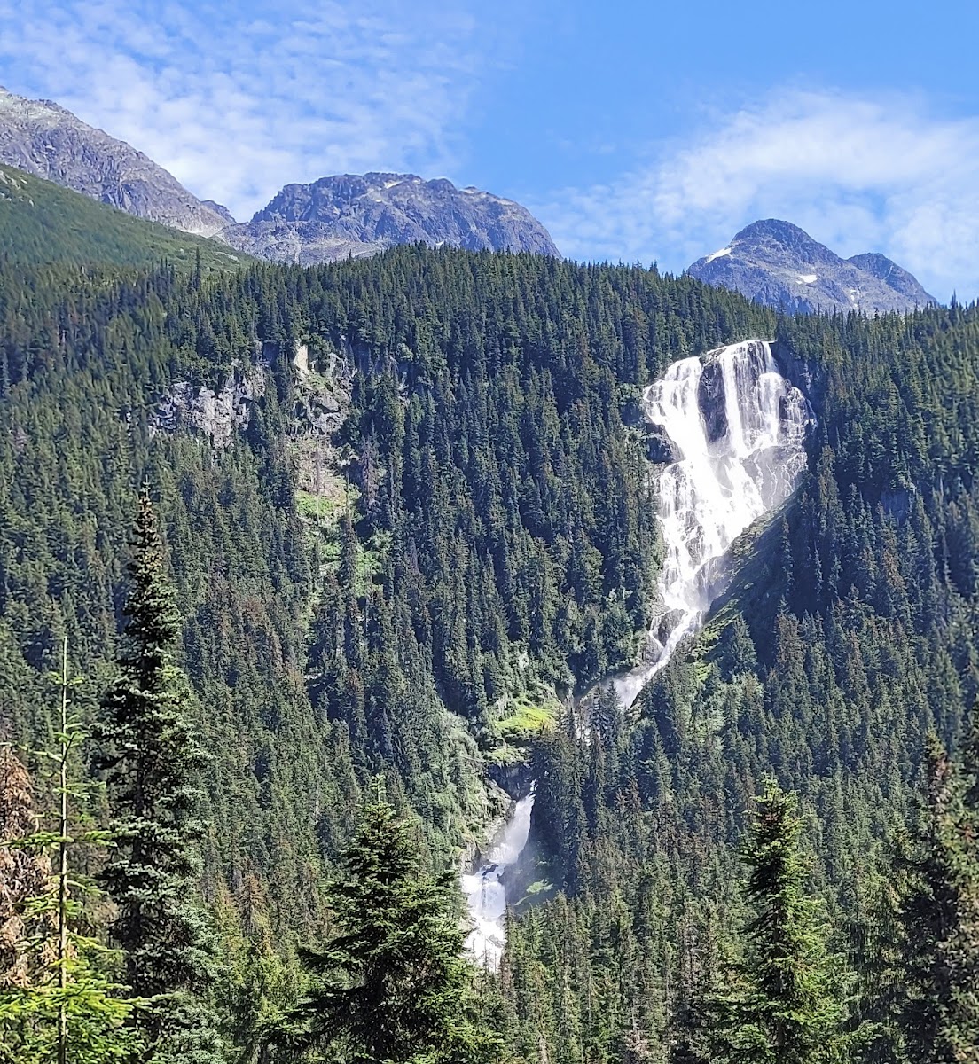 Firvale Wilderness Camp photo 2
