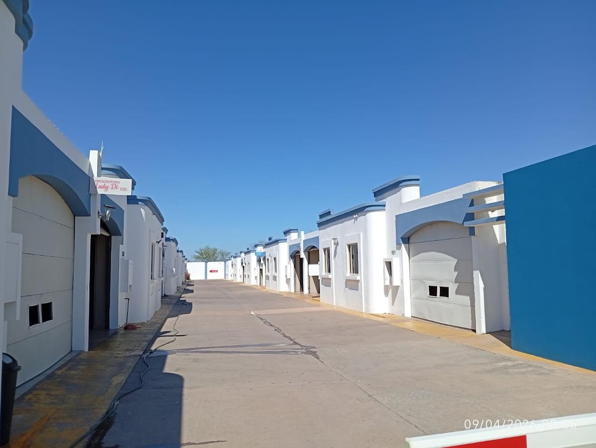 MOTEL DIX photo 3