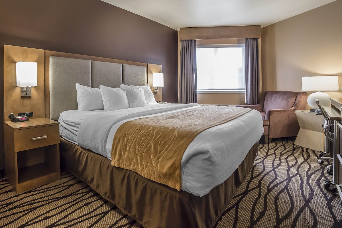Comfort Inn & Suites Market - Airport photo 2