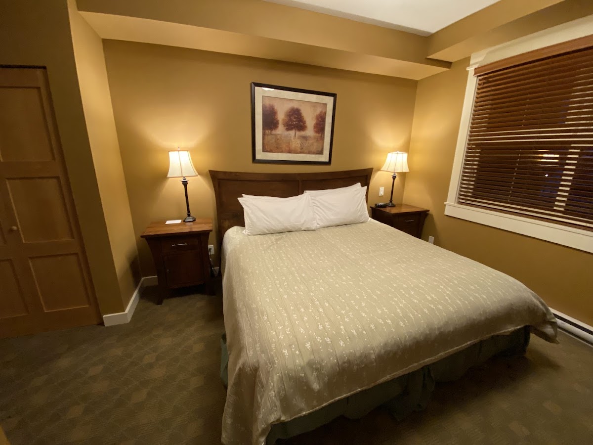 Snowbird Lodge photo 3