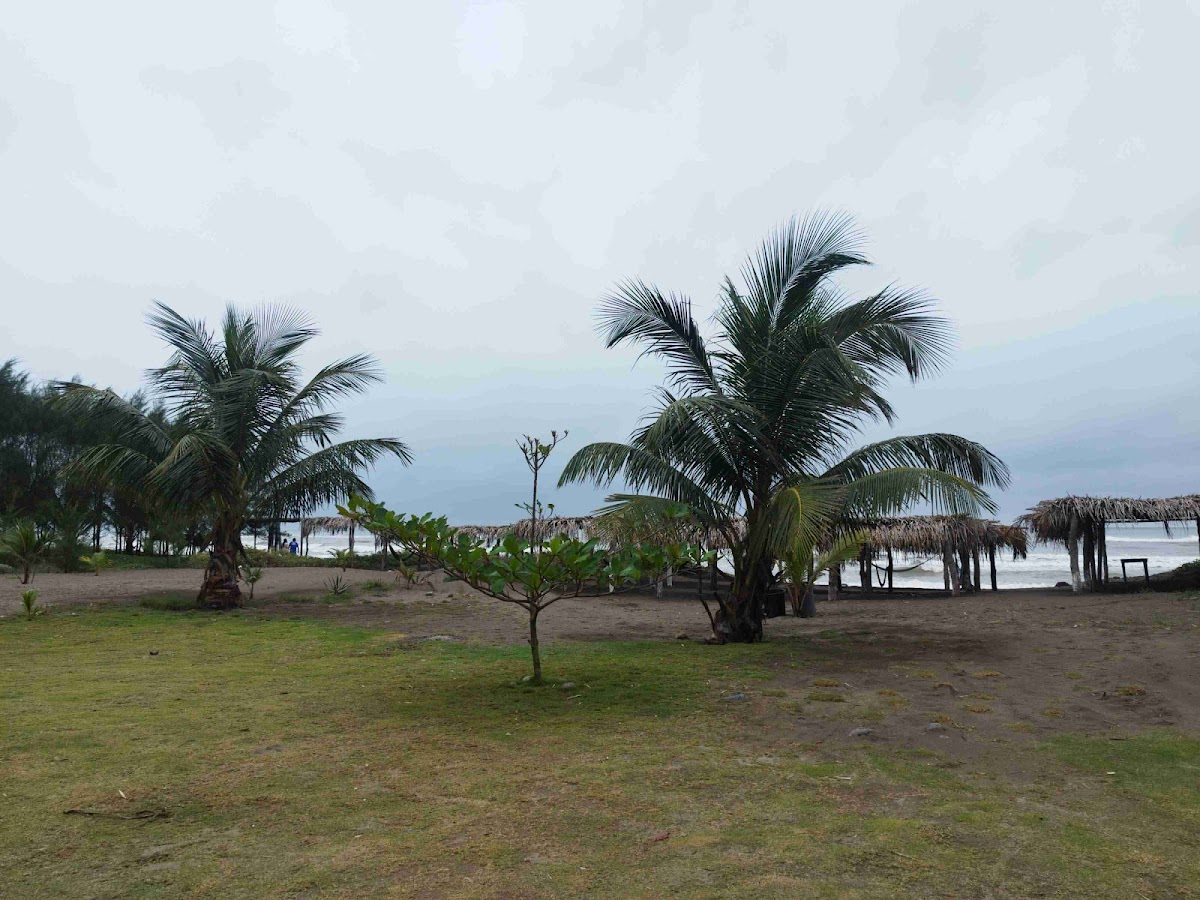 Camping Costa Esmeralda photo 3