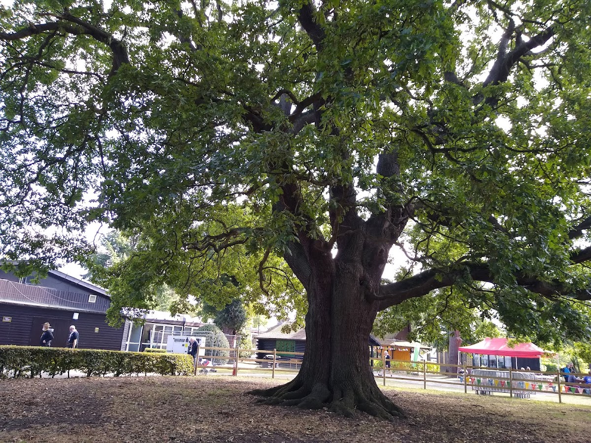 Gilwell Park photo 3