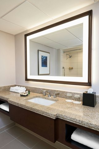 Sheraton Memphis Downtown Hotel photo 3