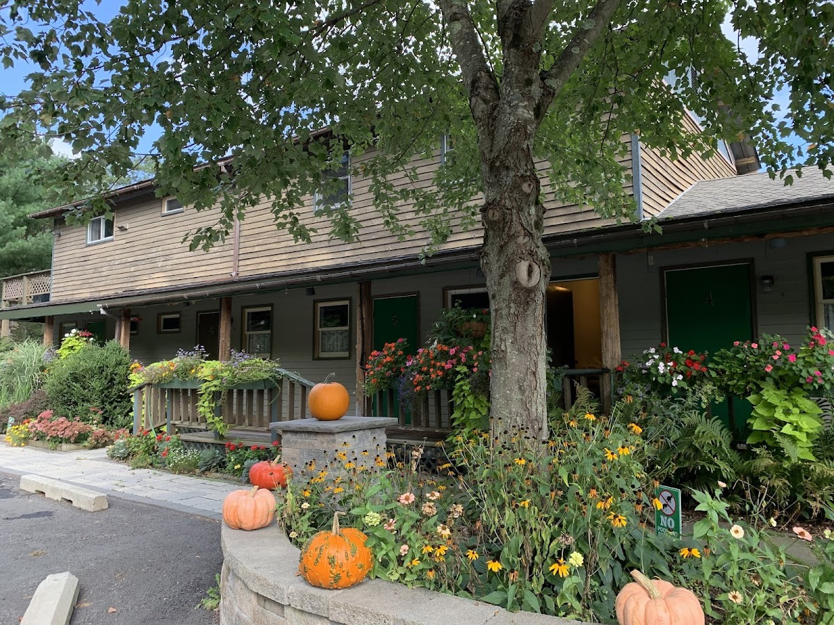Downsville Motel