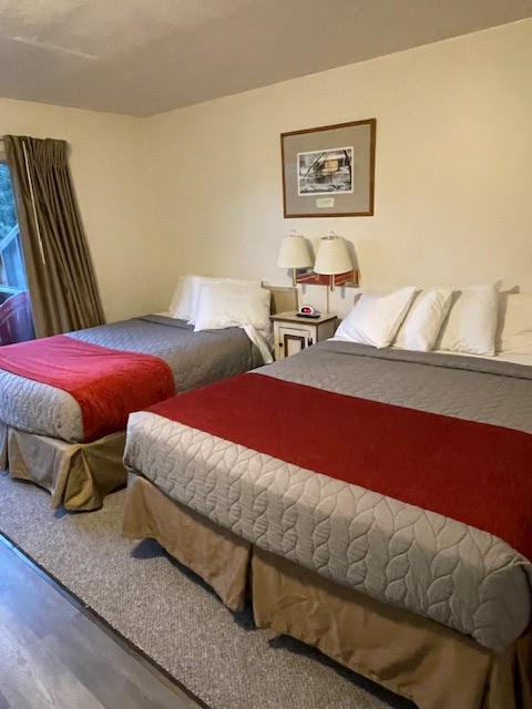 Downsville Motel photo 2