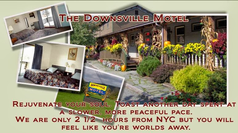 Downsville Motel photo 3