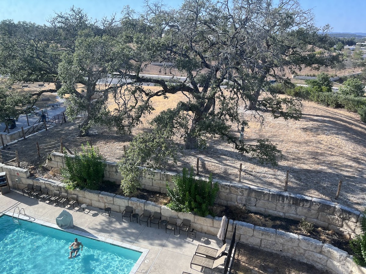 Hampton Inn Bulverde Texas Hill Country photo 3
