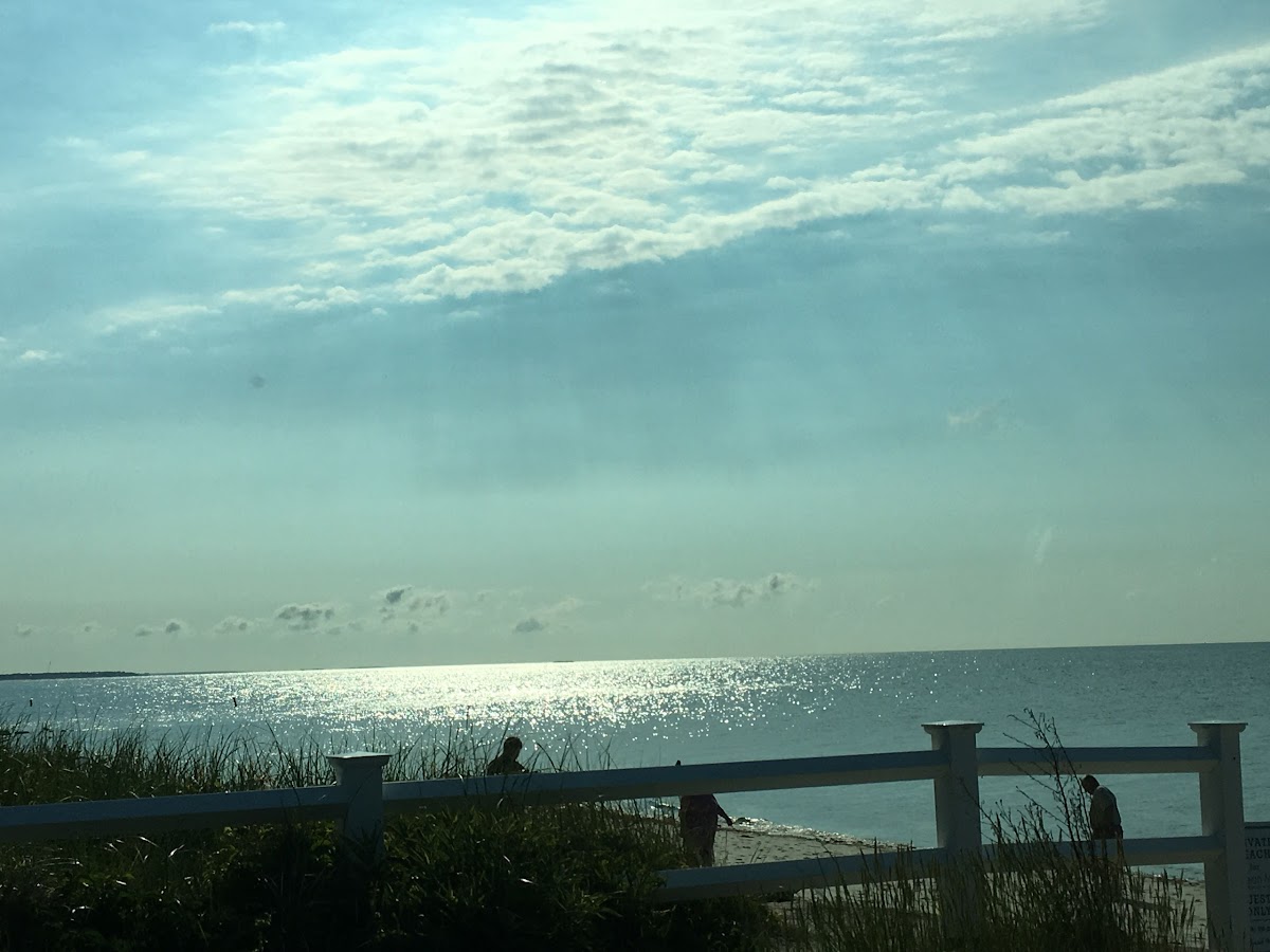 Cape Shore Inn photo 3