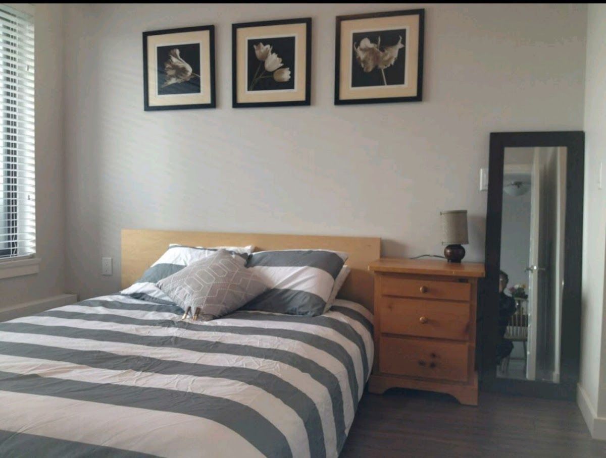 Quay Executive Rentals photo 2