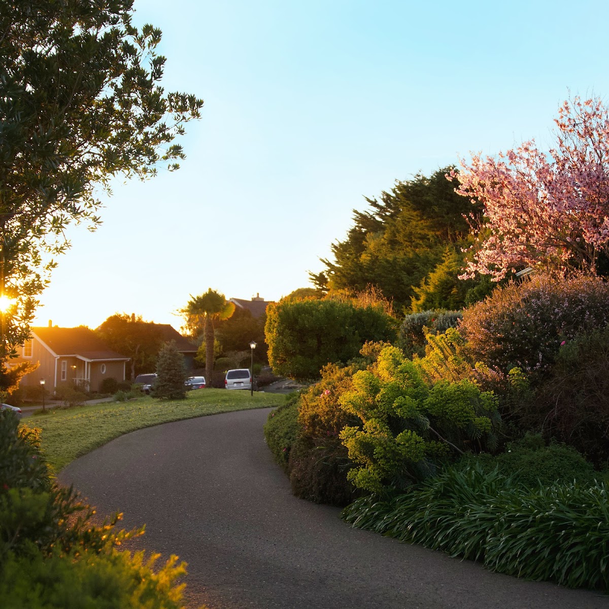 SCP Mendocino Coast Lodge photo 2