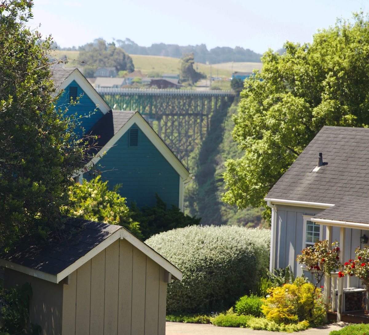 SCP Mendocino Coast Lodge photo 3