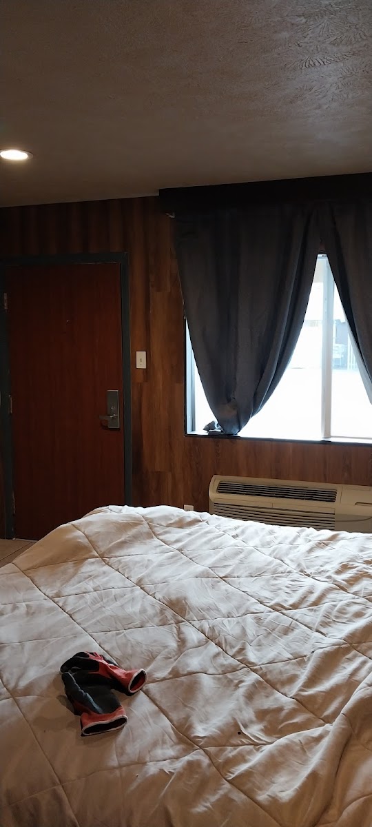 Room 8