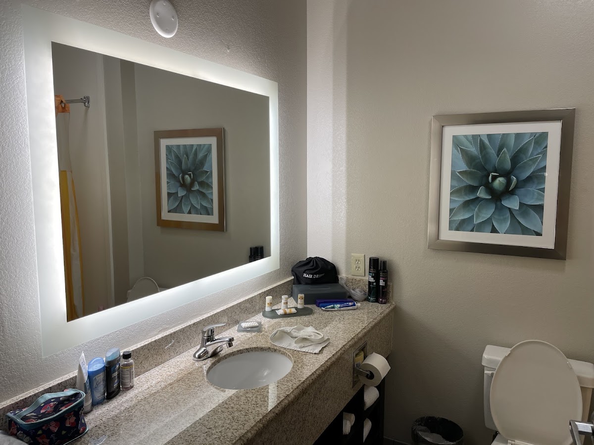 La Quinta Inn & Suites by Wyndham Phoenix I-10 West photo 3