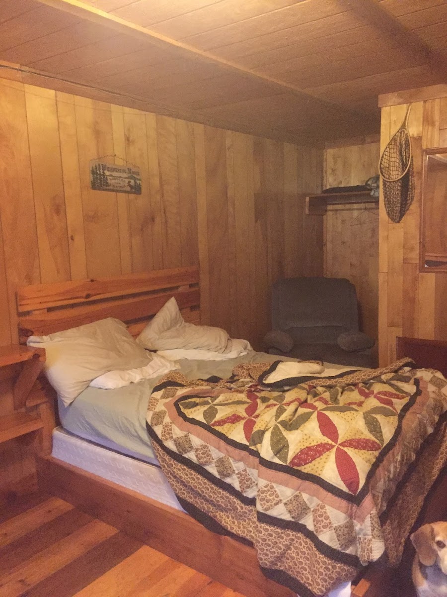 Lodge in Alpena photo 2