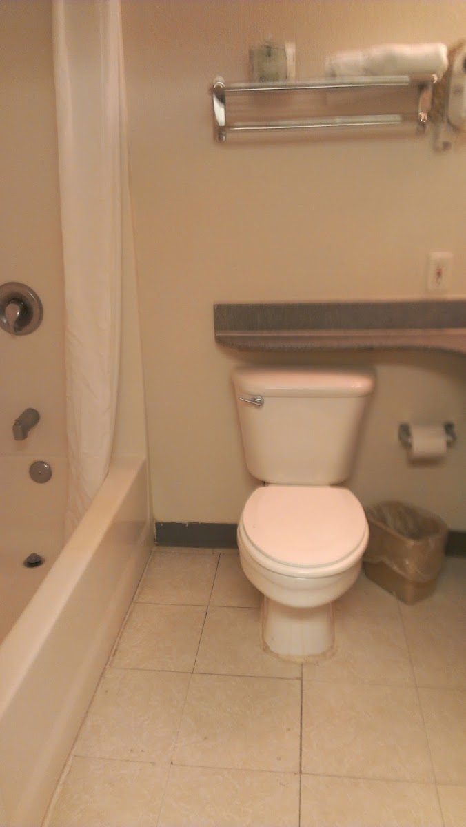 Room 4