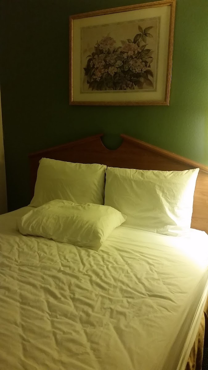Room 4