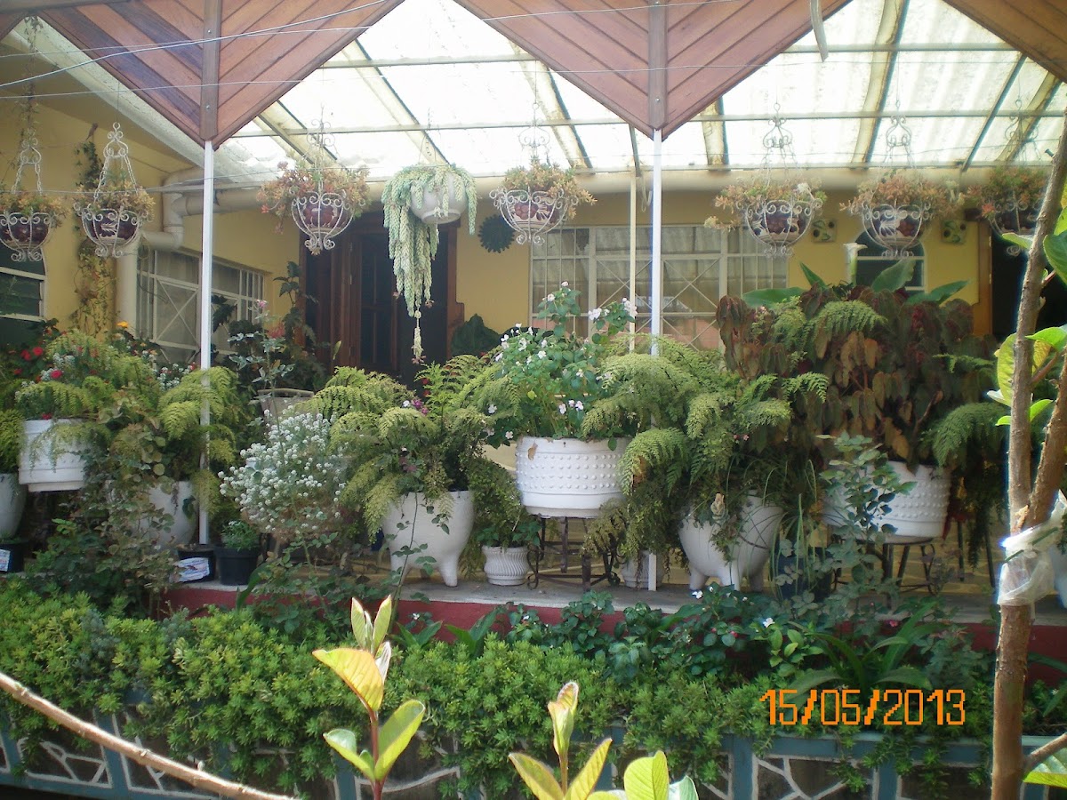 Habitaciones Betito photo 3