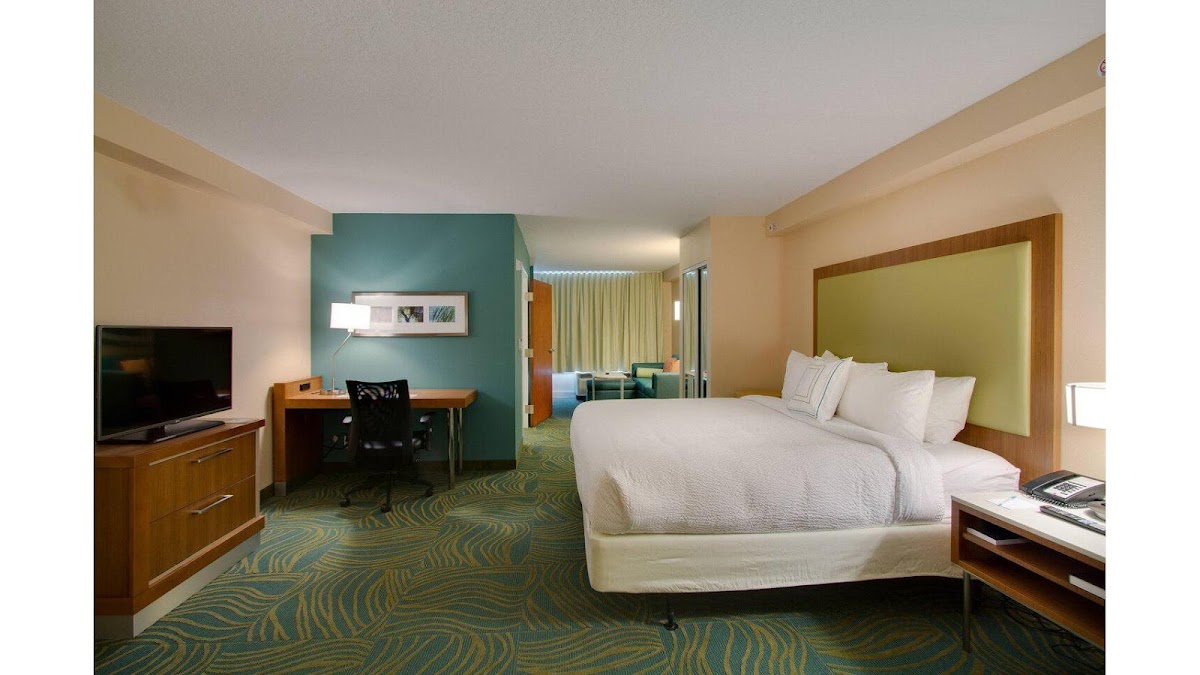 SpringHill Suites by Marriott Orlando Lake Buena Vista South photo 2