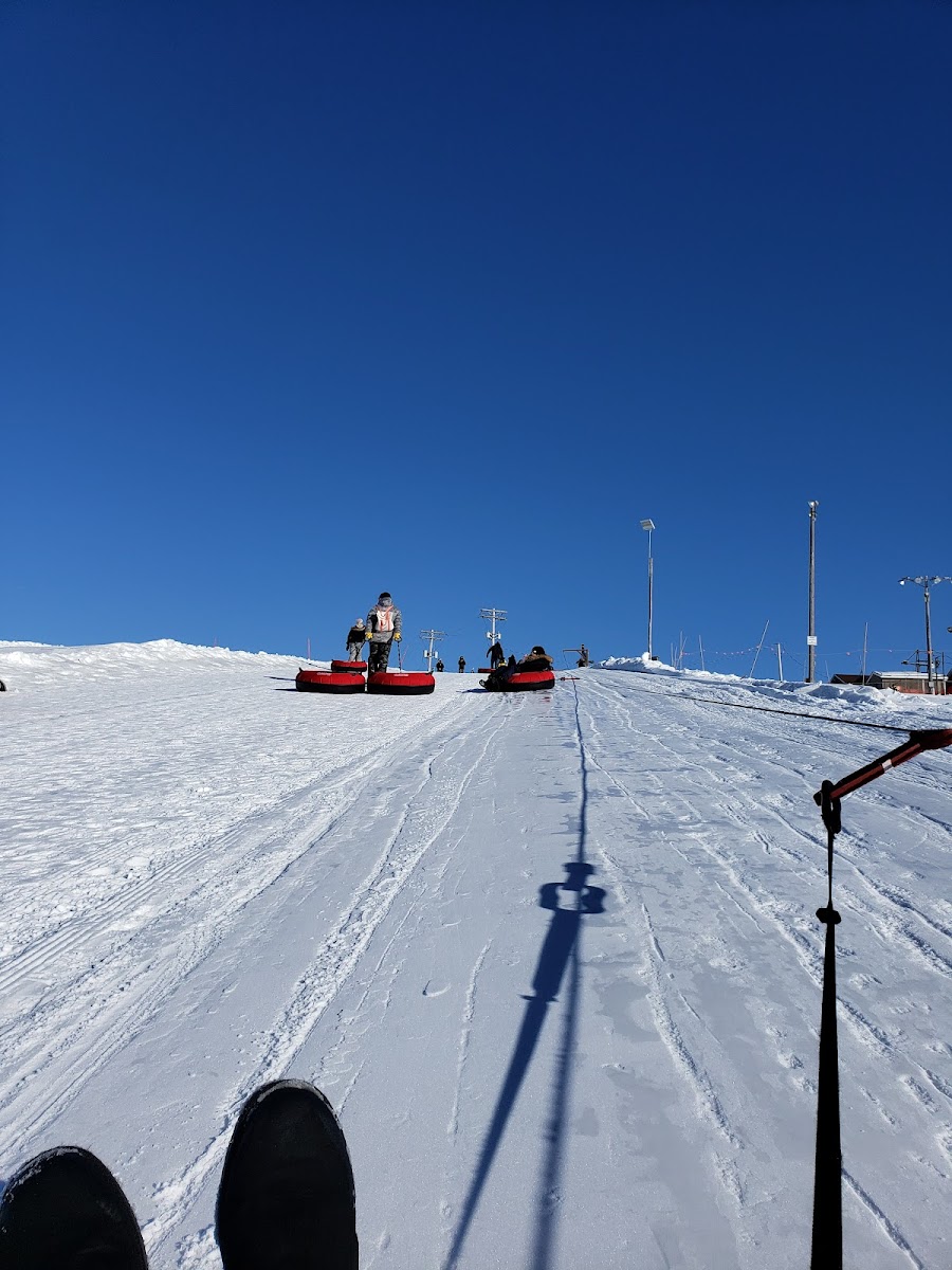 Springhill Winter Park photo 3