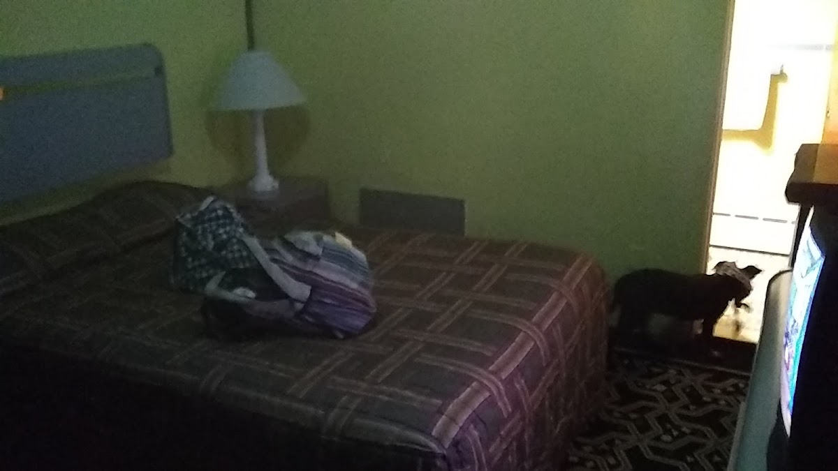 Del Motel photo 2
