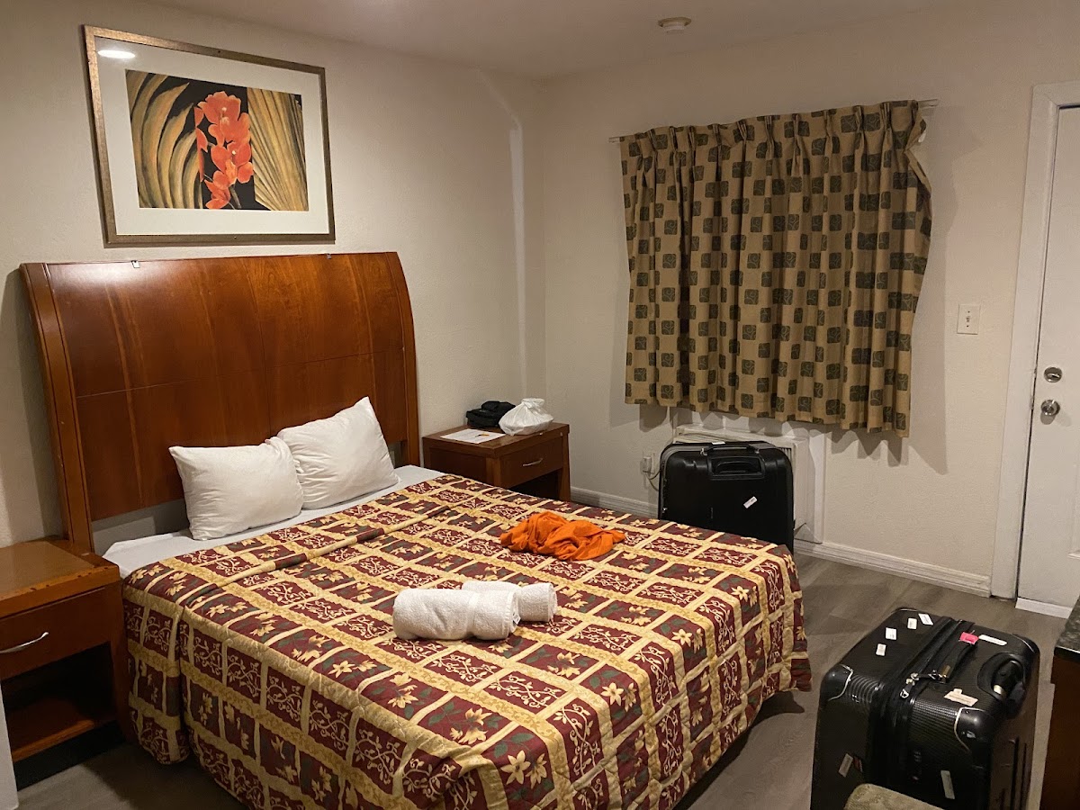 Hotel Miami Springs inn