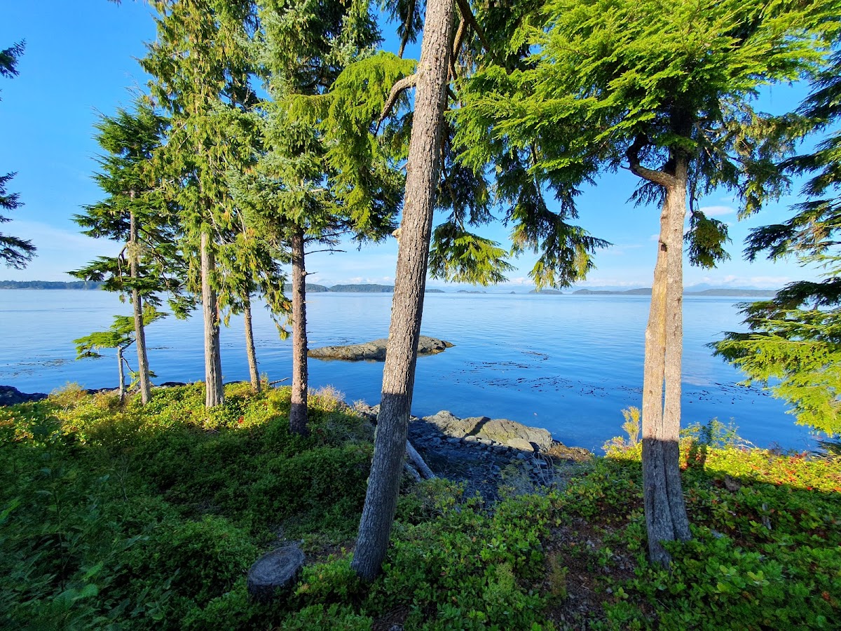 Hidden Cove Lodge photo 2