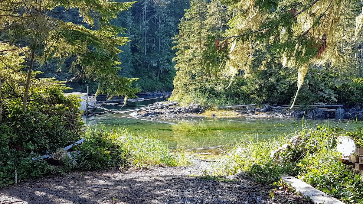 Hidden Cove Lodge photo 3