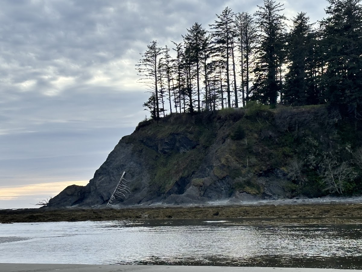 Hobuck Beach Resort - South Cabins photo 3