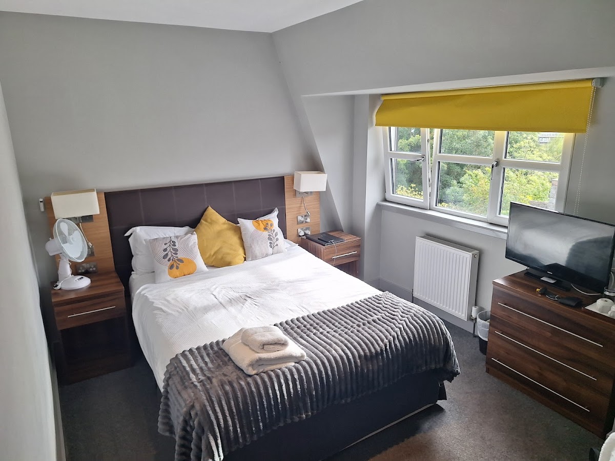Birchtree Hotel photo 2