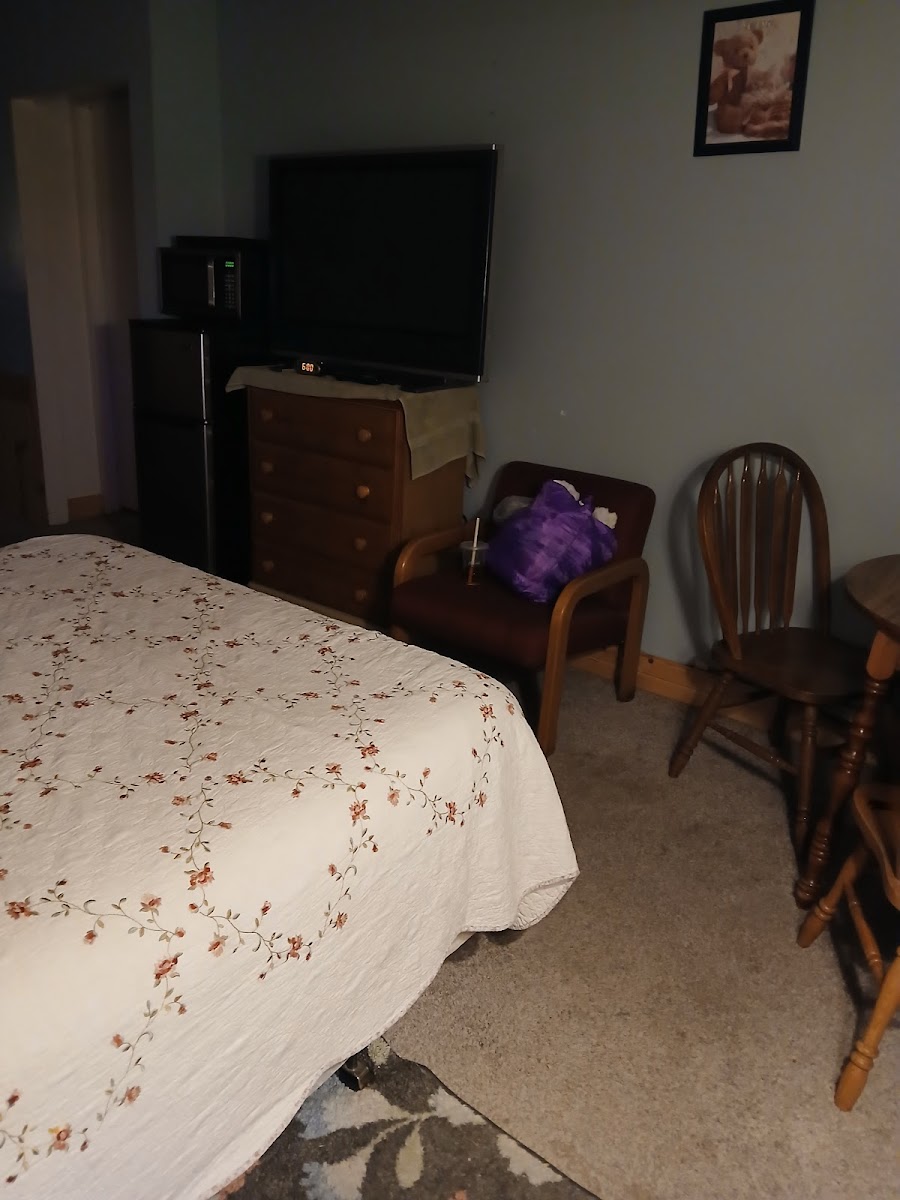Motel 60 photo 3