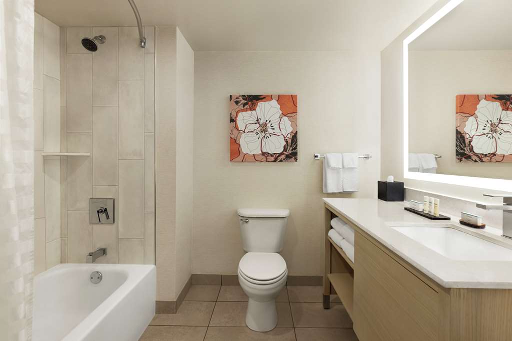 Embassy Suites by Hilton Denver International Airport photo 3