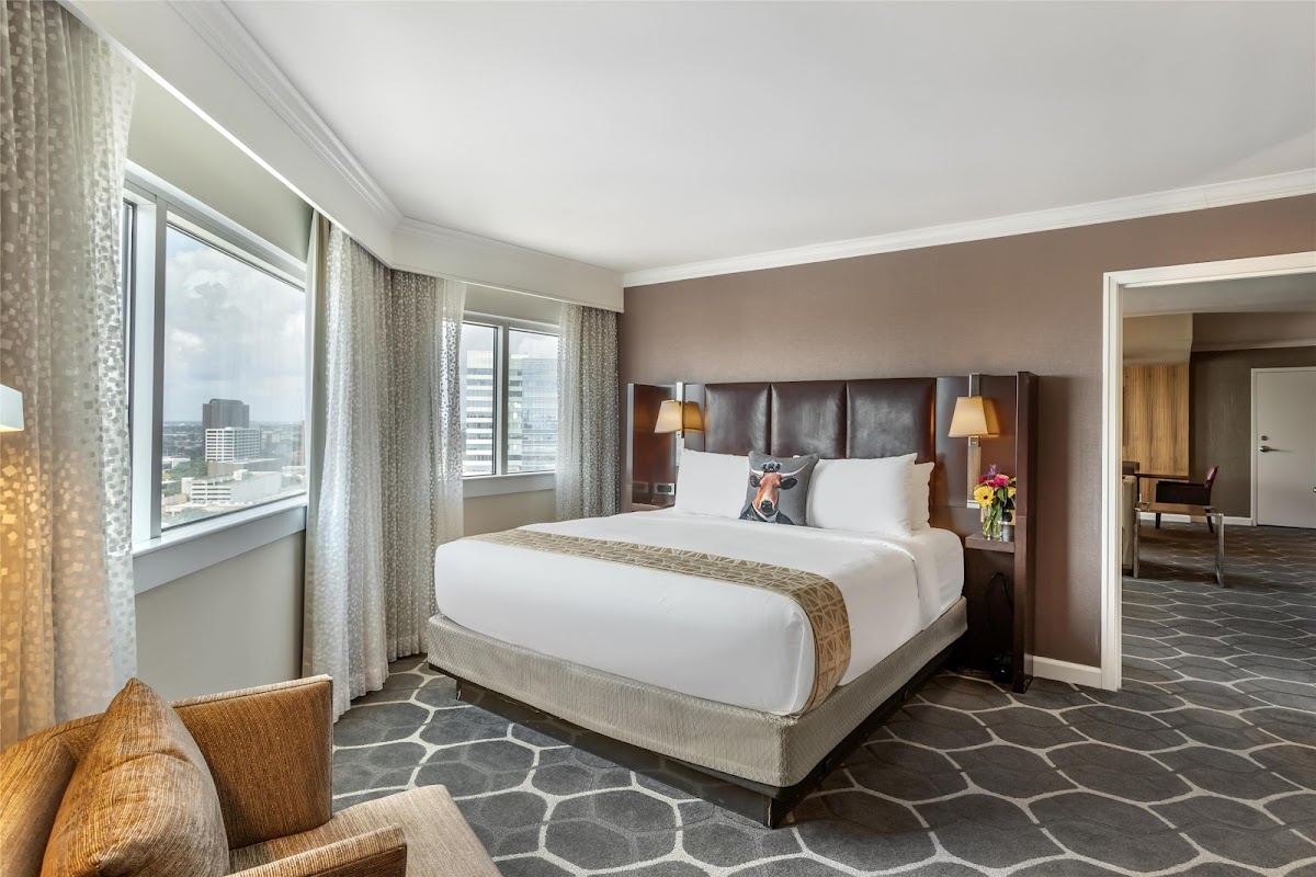The Royal Sonesta Houston Galleria photo 2