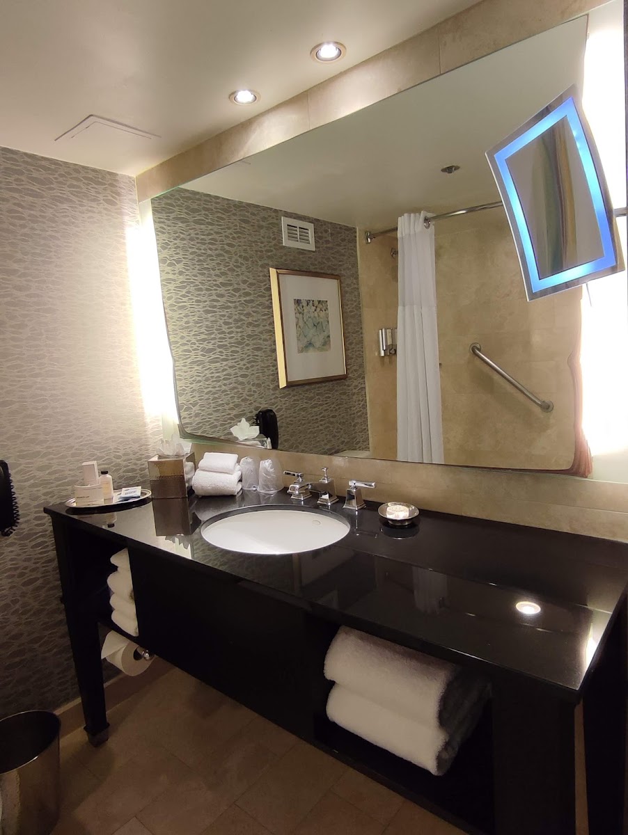 The Royal Sonesta Houston Galleria photo 3