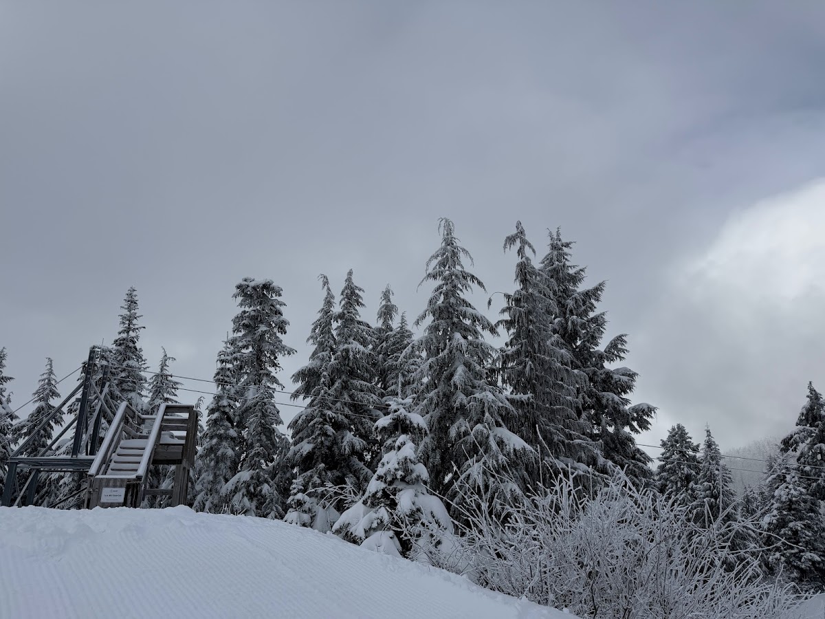 Grouse Mountain Resort Guest Services photo 3