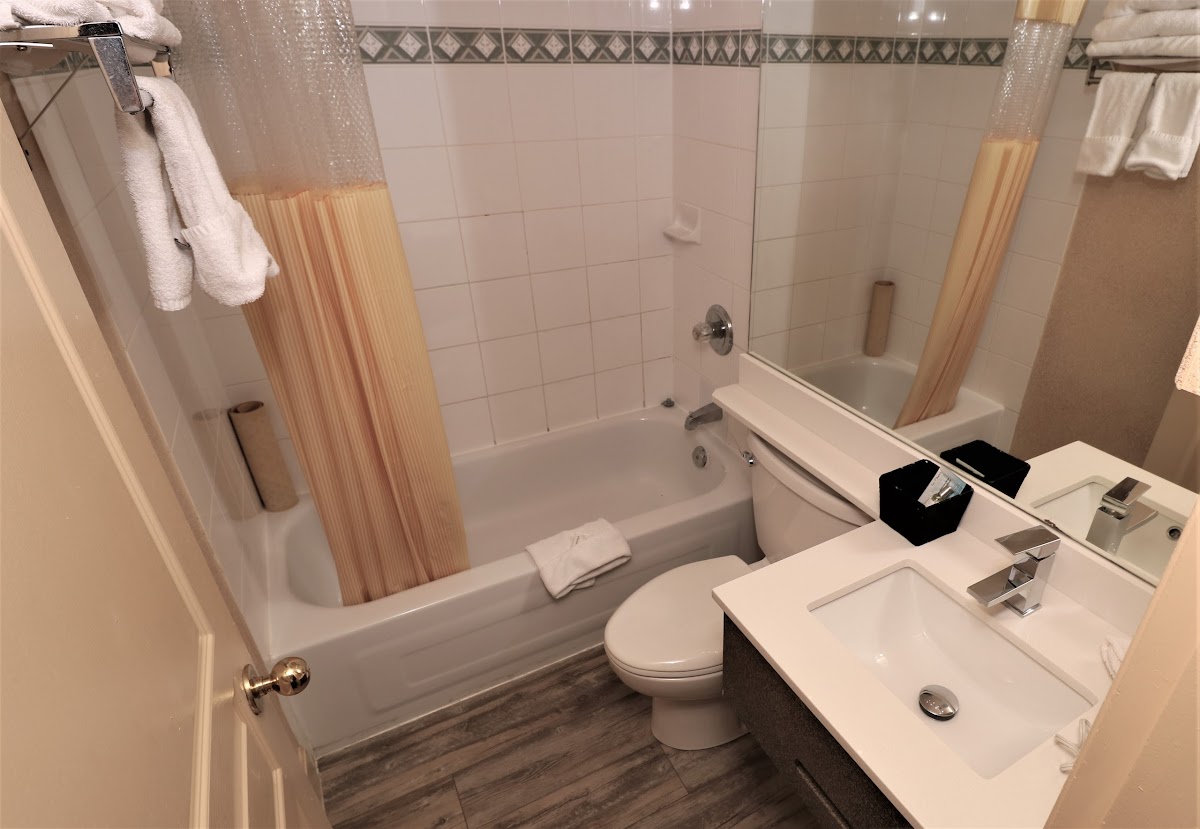 Divya Sutra Suites on Robson Downtown Vancouver photo 3