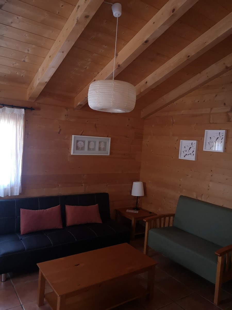 Room 8