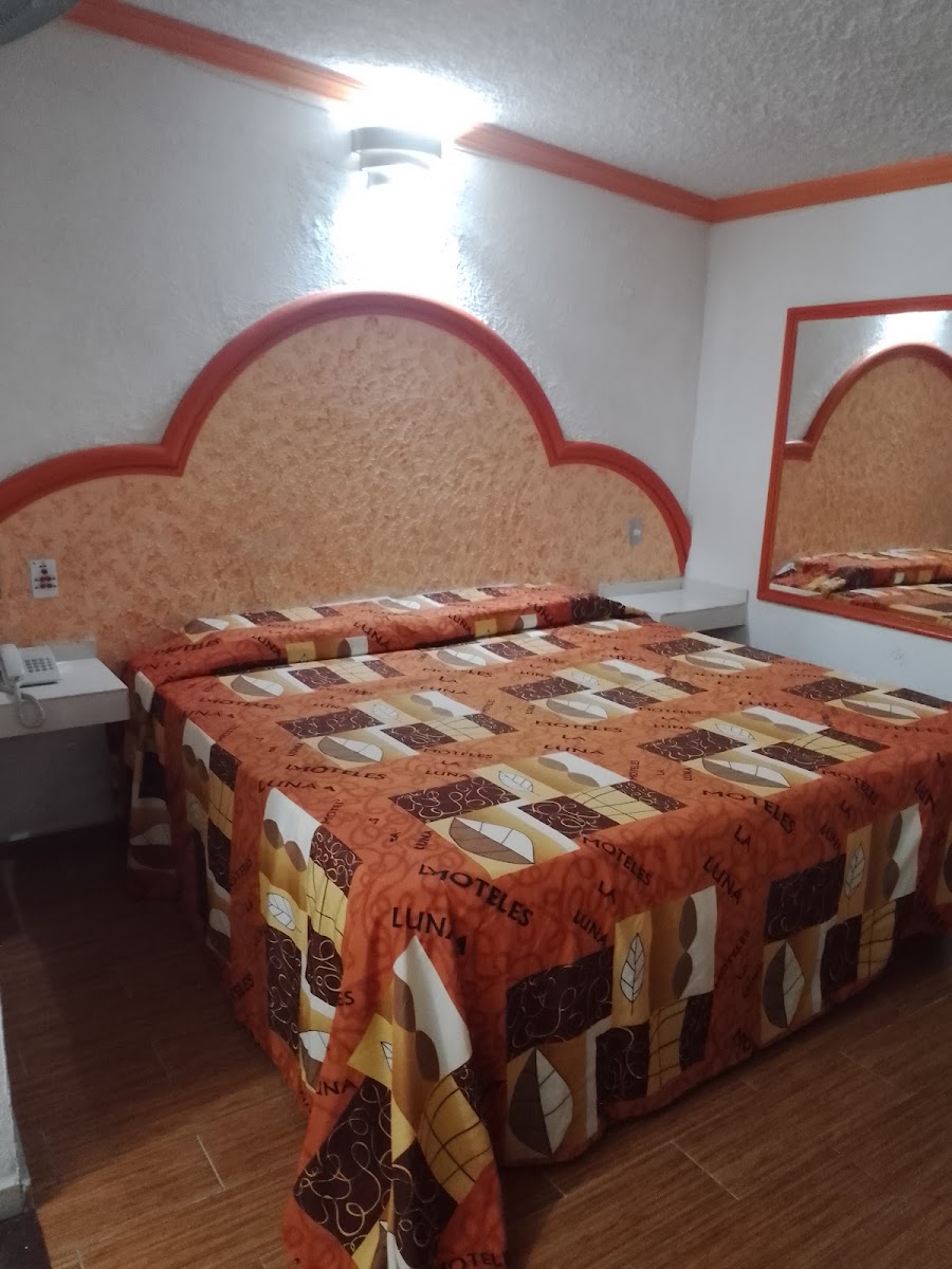 Room 7