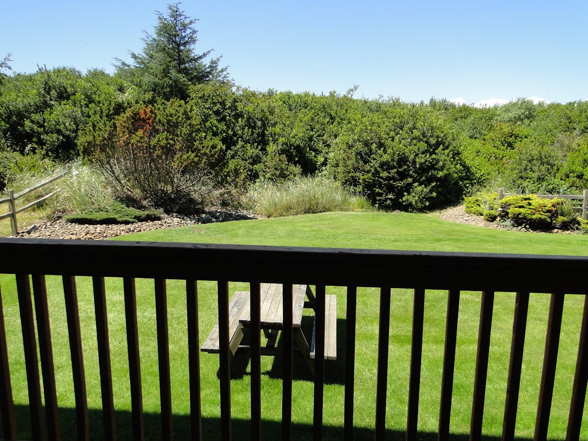 The Nautilus Condos Vacation Rentals photo 2