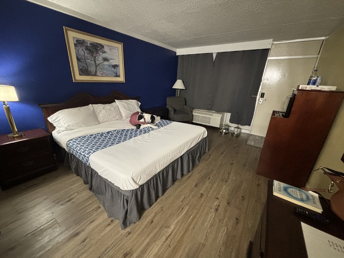 Room 9
