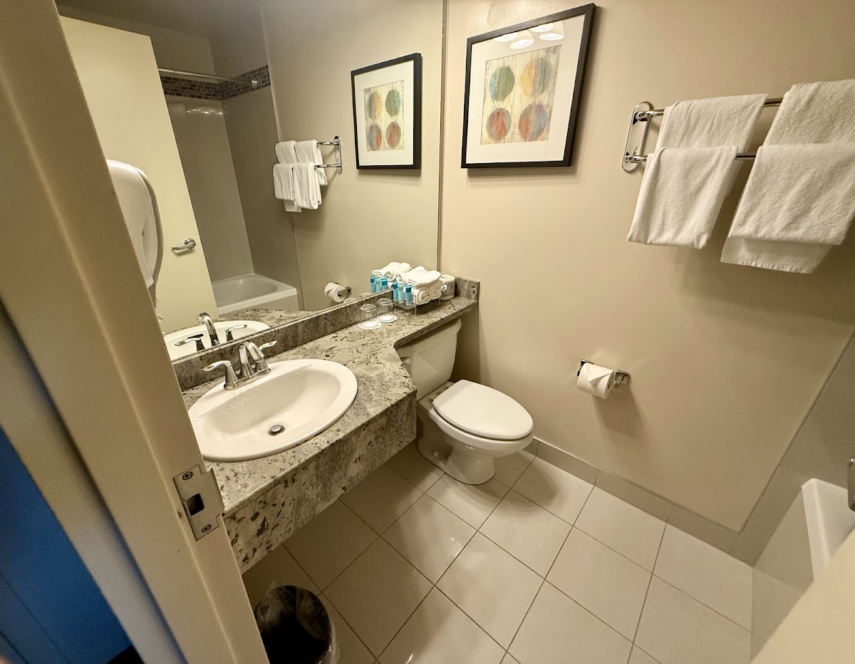 West Edmonton Mall Inn photo 3