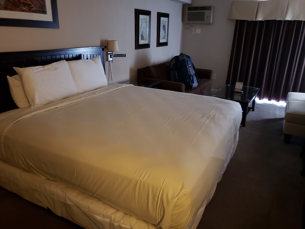 Room 10