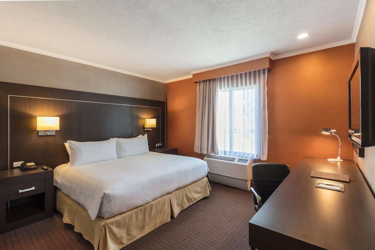 voco Saltillo Suites photo 2