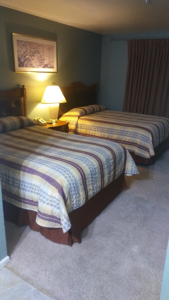 La Paloma Motel photo 3