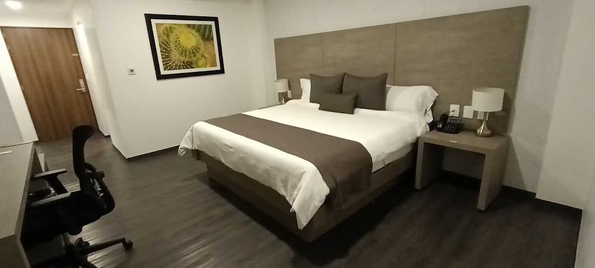 Hotel San Pedro Express photo 2