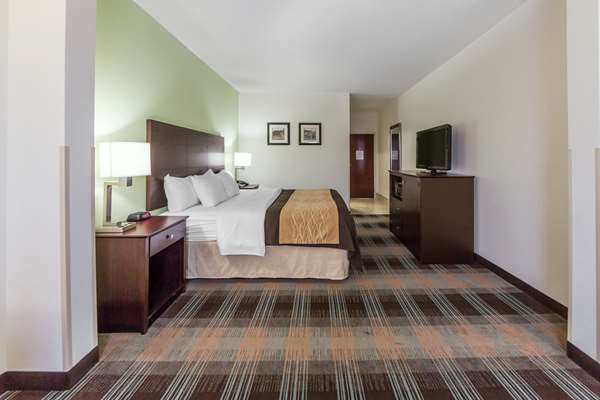 Comfort Inn Lexington South photo 2