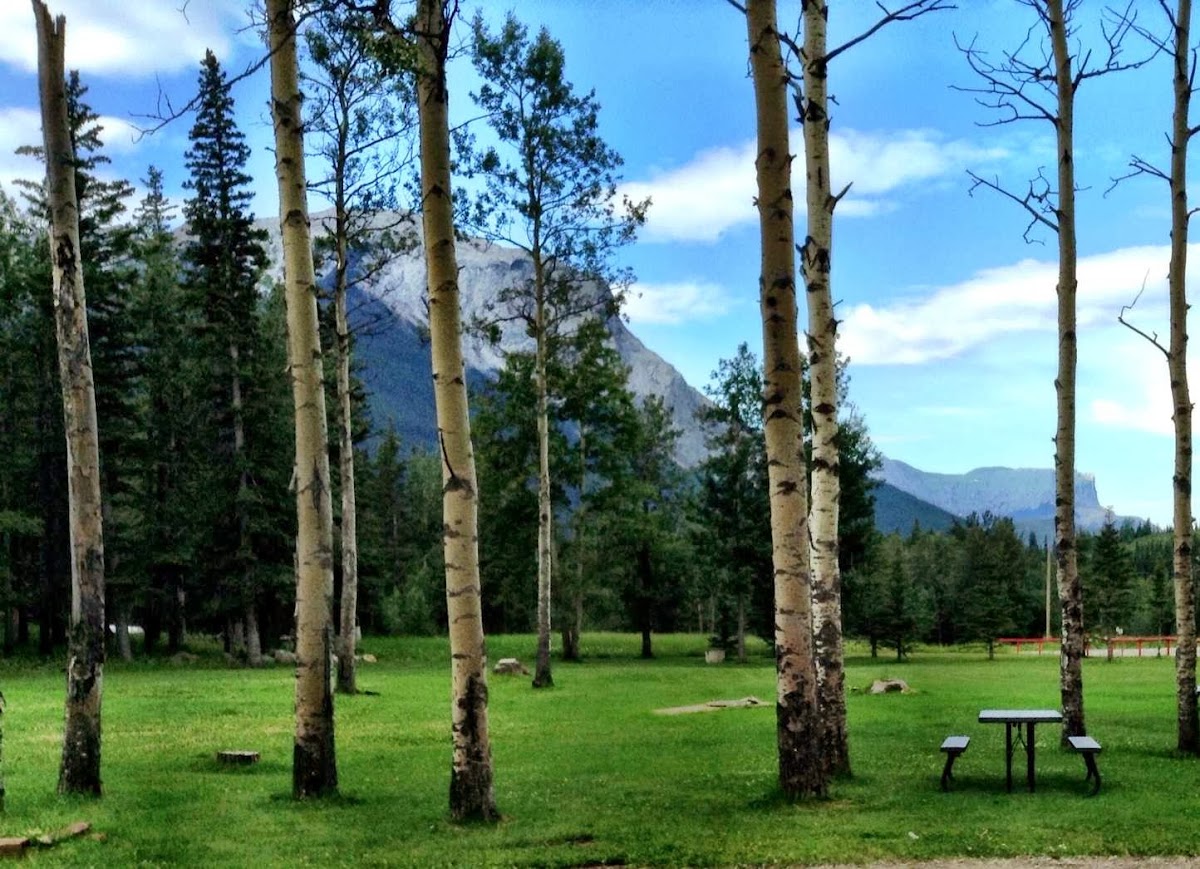 Jasper Gates Resort & RV photo 3