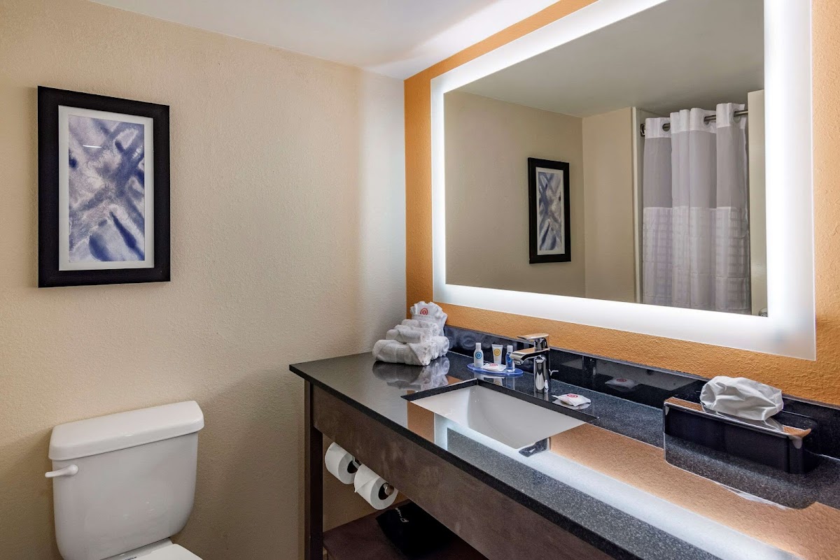 Comfort Suites Alpharetta/Roswell - Atlanta Area photo 3