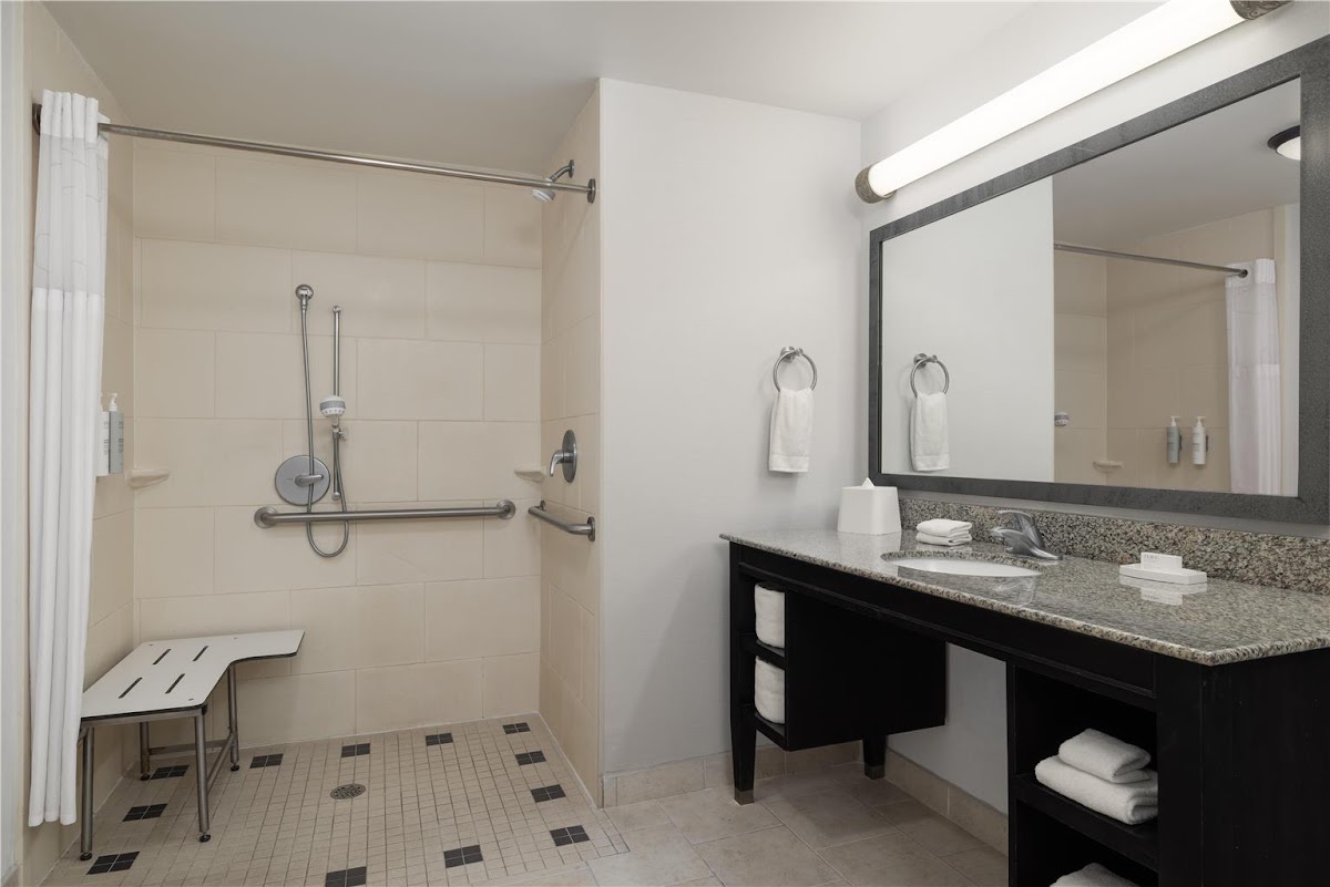 Hampton Inn & Suites Baton Rouge Downtown photo 3